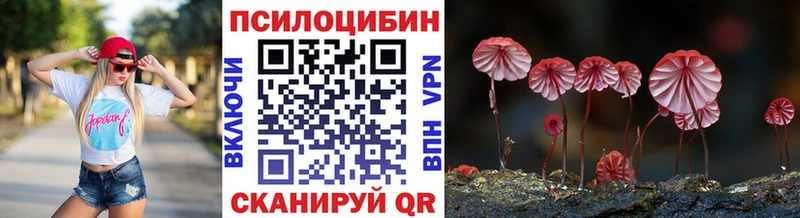 Псилоцибиновые грибы GOLDEN TEACHER  Усть-Лабинск 