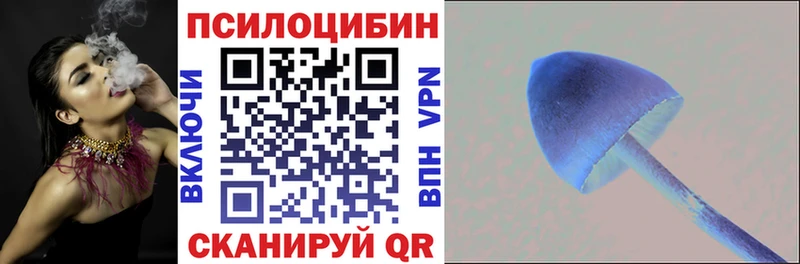 Псилоцибиновые грибы GOLDEN TEACHER Усть-Лабинск